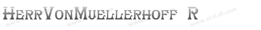 HerrVonMuellerhoff R字体转换